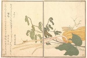 浮世绘-080#喜多川歌磨MH062