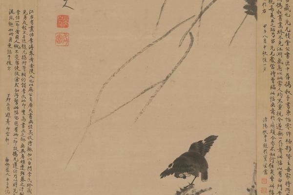 杨柳浴禽图