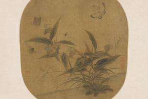 蛱蝶图页