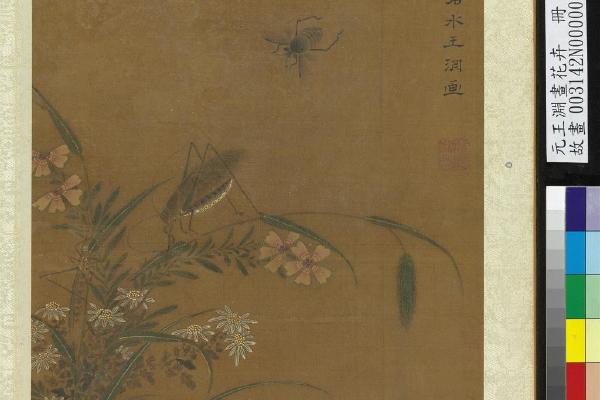 花卉册-菊竹石