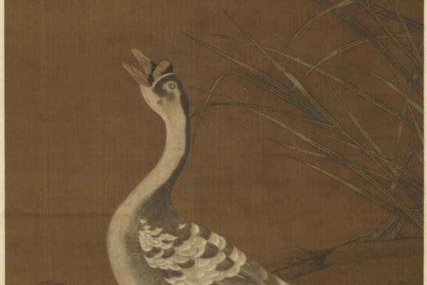 芦花羲爱轴