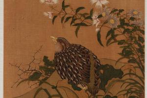 鹌鹑百花图