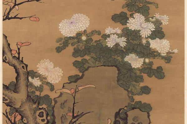 菊花枫叶图