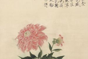 大丽花