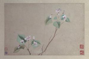 花卉图册