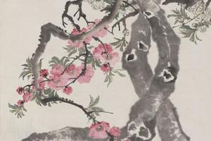 梨花八哥图轴