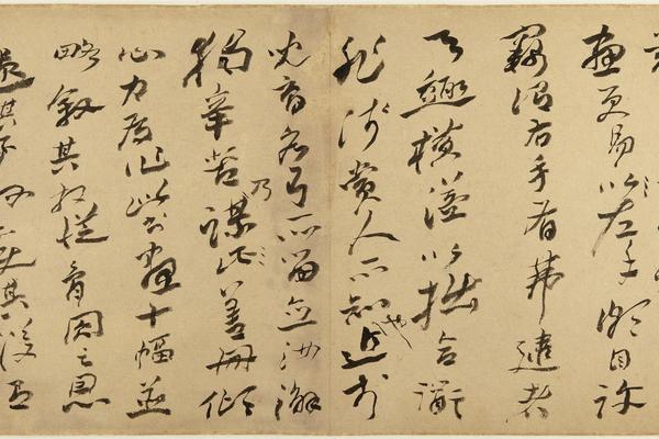 墨花图册
