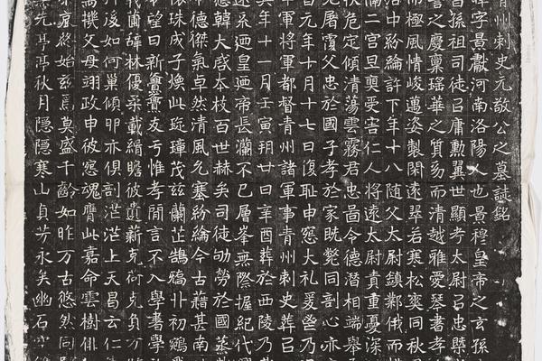 哈佛大学图书馆藏历代石刻墓志拓片-拓片227.北魏元晫墓志铭.哈佛大学图书馆藏