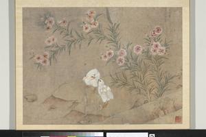花卉翎毛册　剪秋罗鸡