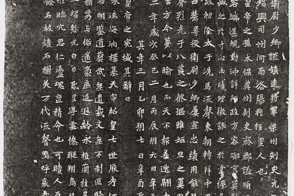 哈佛大学图书馆藏历代石刻墓志拓片-拓片218.北魏元演墓志铭.哈佛大学图书馆藏