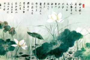 荷叶图HD