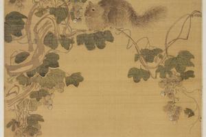 葡萄松鼠图