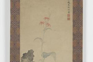 美人蕉图