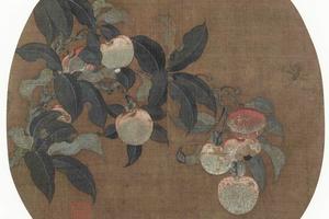 荔枝图页