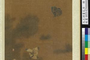 花卉册-花蝶