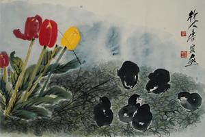 郁金香鸡雏