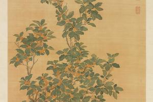 桂花轴