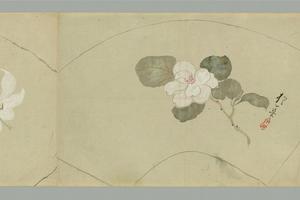 光琳派 花卉卷