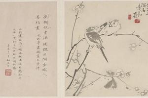 花鸟画册