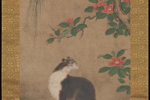 麝香猫图