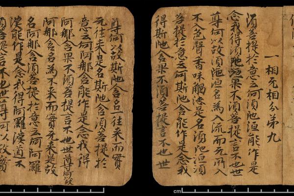 一相无相分弟九残页手稿