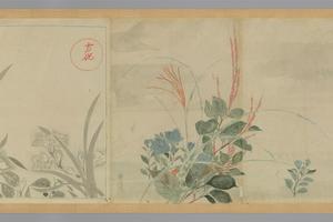 明清日本古画花鸟山水人物粉本-花卉卷