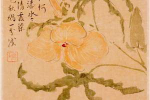 花果图册