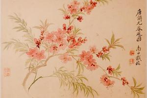 花卉图册