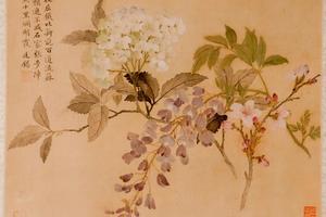 杂画册