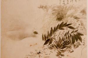 花卉图册