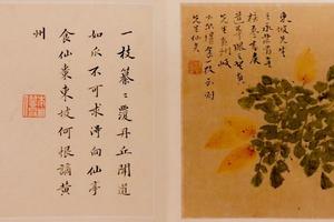 花果图册