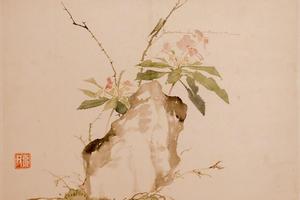花卉虫草图册
