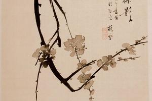 花卉图册