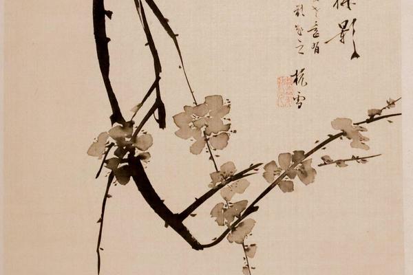 花卉图册