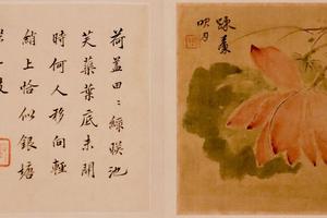 花果图册