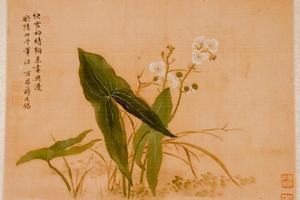 杂画册