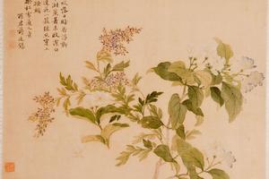 杂画册