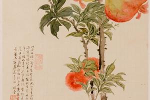 花卉图册