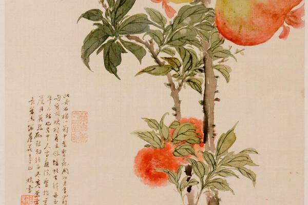 花卉图册
