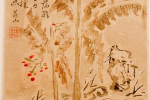 花果图册