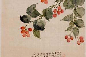 花卉图册