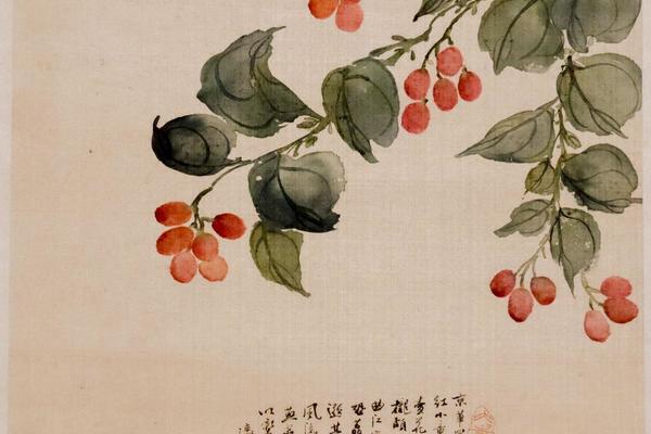 花卉图册