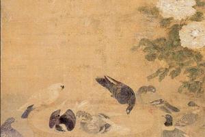 金盆浴鸽图