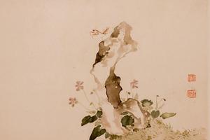 花卉虫草图册