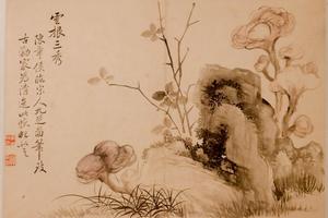 花卉图册