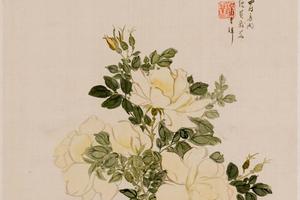 花卉图册