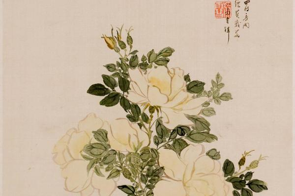 花卉图册