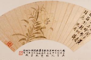 百合花图