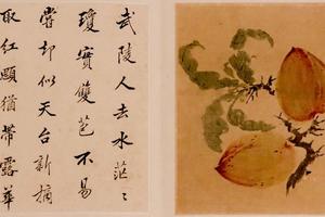 花果图册