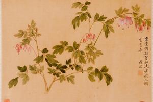 杂画册